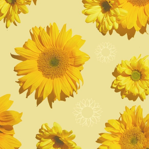 Meet your Posher, Sophie - Picture 1 of 1